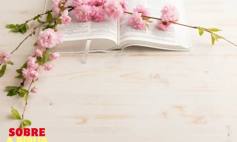 Como pedir para Deus me revelar algo? 1 Sobre a Biblia (12)