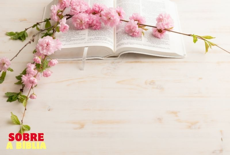 Qual o tema do mês da Bíblia 2025? 10 Sobre a Biblia (12)