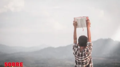 Sobre a Biblia (14)