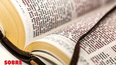Biblia 17