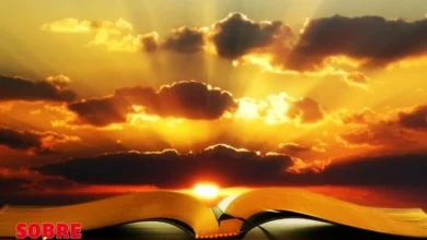 Biblia 24