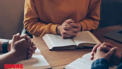Biblia 29