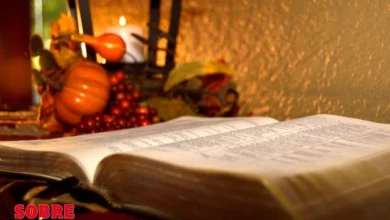 Biblia 35
