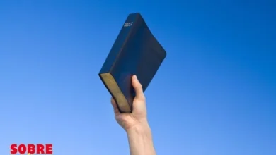 Sobre a Biblia (4)