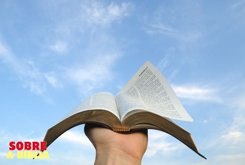 Biblia (6)