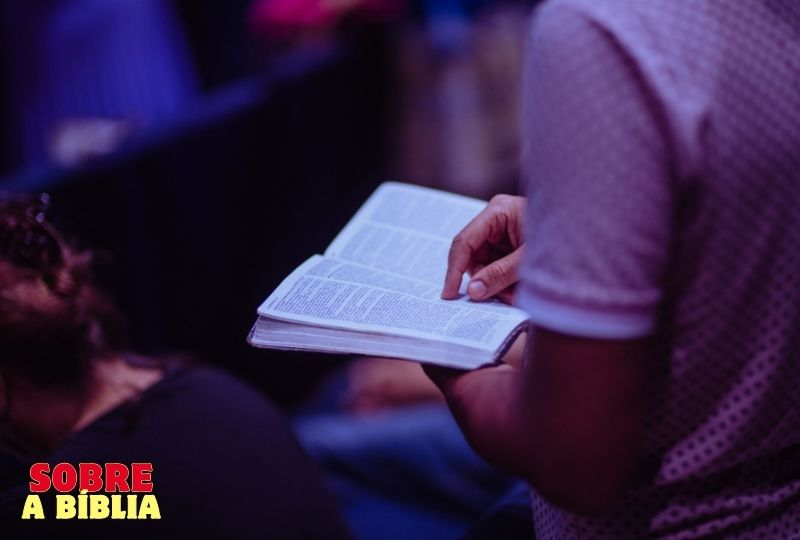 Biblia (7)