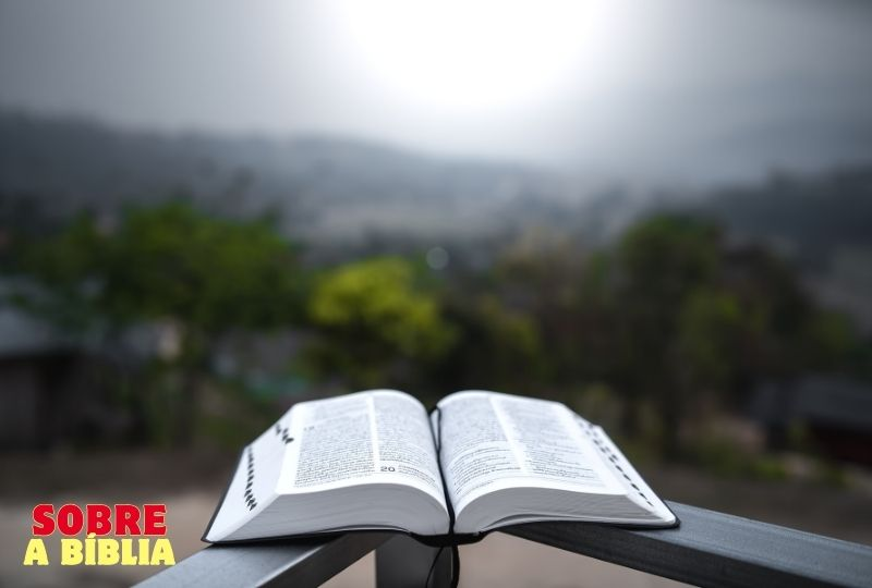 Biblia (8)